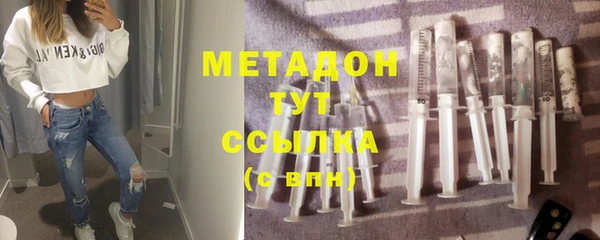 индика Аркадак