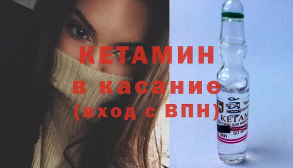 индика Арсеньев