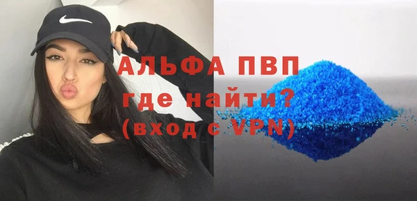 индика Арсеньев