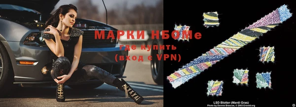 индика Аркадак