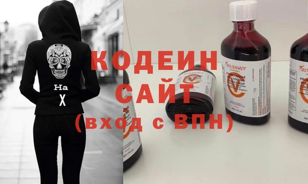 индика Арсеньев