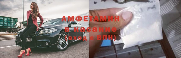 гидра Костерёво