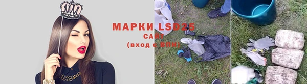 индика Арсеньев