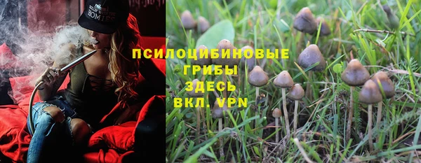 индика Аркадак