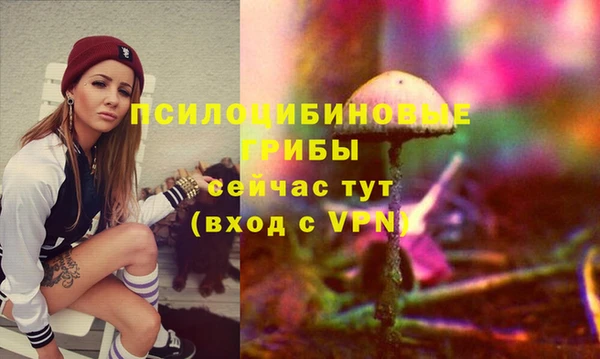 индика Аркадак