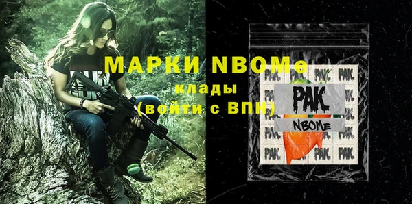 индика Аркадак