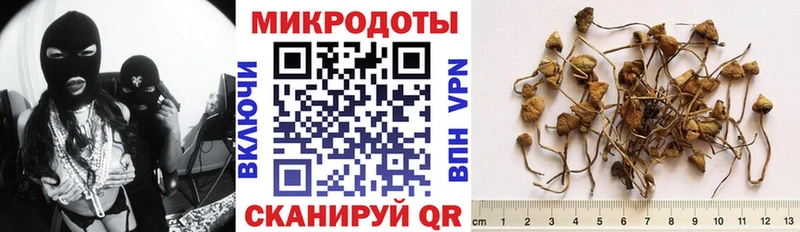 Псилоцибиновые грибы мухоморы  закладка  Калязин 